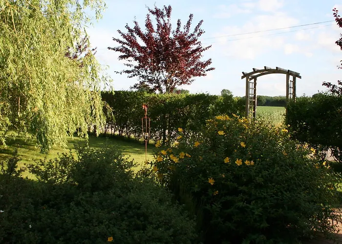 Herbages De Beauvais Orgères-la-Roche